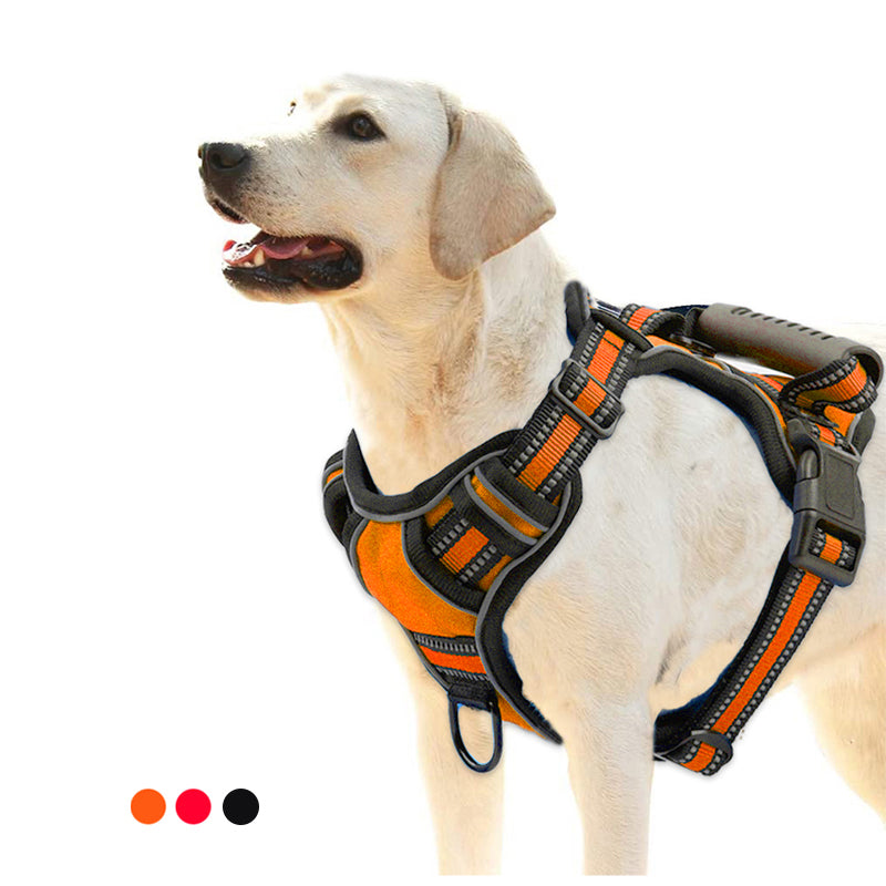 Detalle del material resistente del arnés para perros